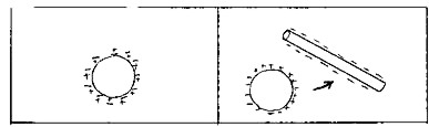 Černá M.: Neviditelné ruce elektrického pole - image008.jpg