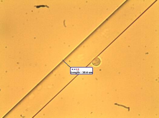 Obr. 9 Optické vlákno – objektiv 40×(naměřená hodnota 20,6 µm).