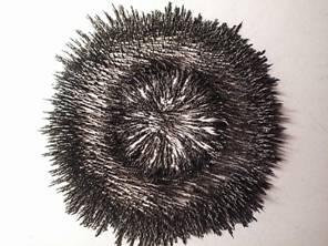Zdenk Polk: Magnety - Obr .5: Pilinov obrazec v tsn blzkosti povrchu kruhovho reproduktorovho magnetu