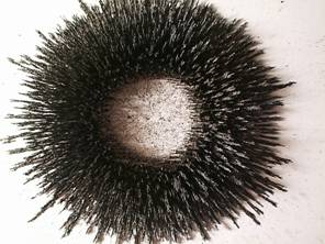 Zdenk Polk: Magnety - Obr .7: Pilinov obrazec 1 cm nad povrchem kruhovho reproduktorovho magnetu