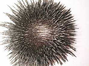 Zdenk Polk: Magnety - Obr .9: Pilinov obrazec 3 cm nad povrchem kruhovho reproduktorovho magnetu