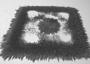 Zdenk Polk: Magnety - Obr. 3: Magnetick pole tsn pi povrchu znzornn pilinovm obrazcem.